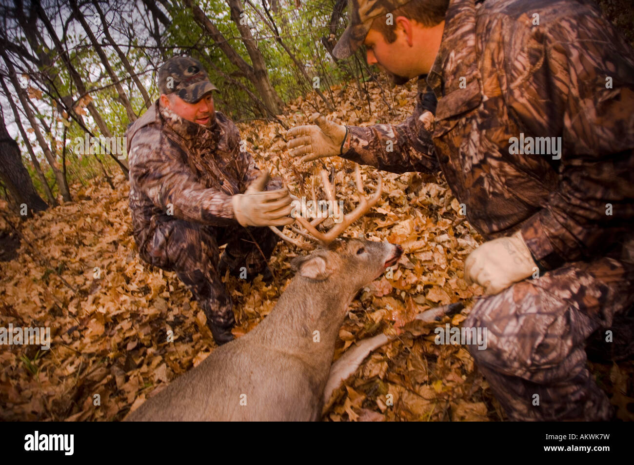 Hunters with dead whitetail deer in Pike County Illinois Stock Photo