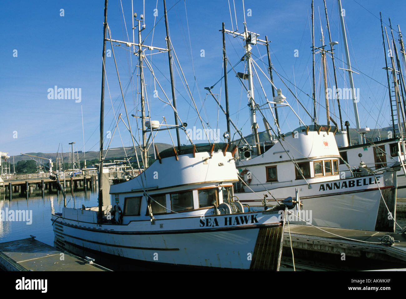 California, Bodega Bay, Fishing boats, Bodega Harbor Stock Photo Alamy