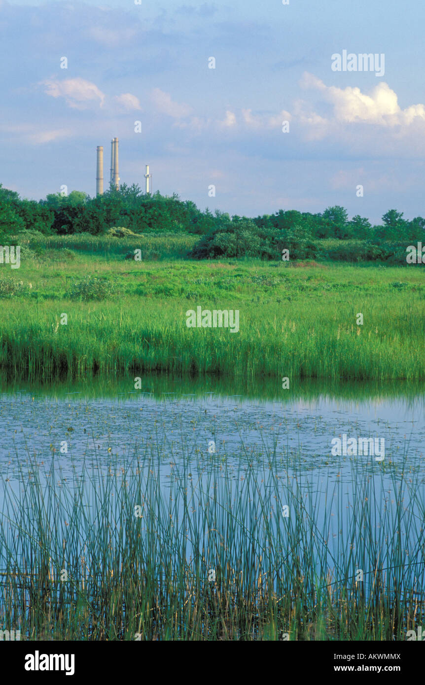 Wetland with smokestacks in the background Stock Photo