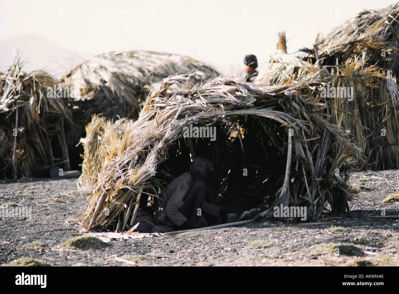 El Molo huts on the shore of Lake Turkana northern Kenya East Africa Stock Photo