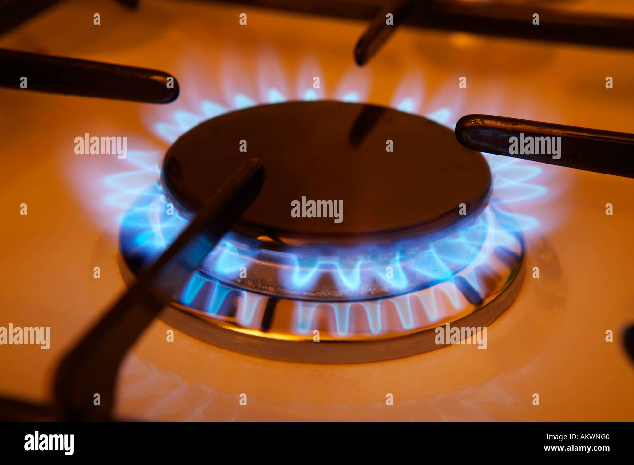 BURNING BLUE FLAME ON GAS COOKER HOB Stock Photo Alamy