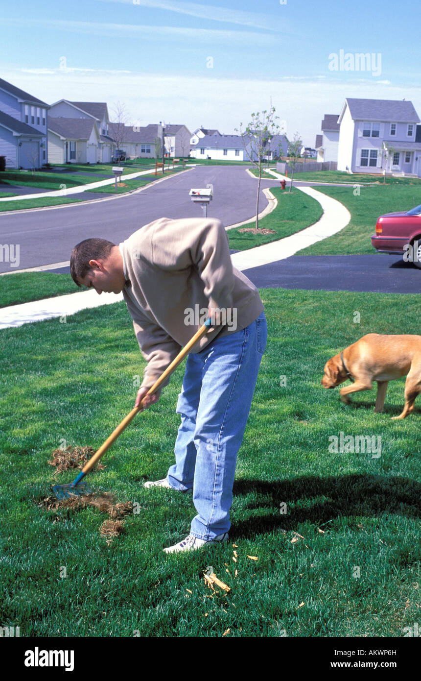 Man repairing grass in his lawn in a suburb Stock Photo