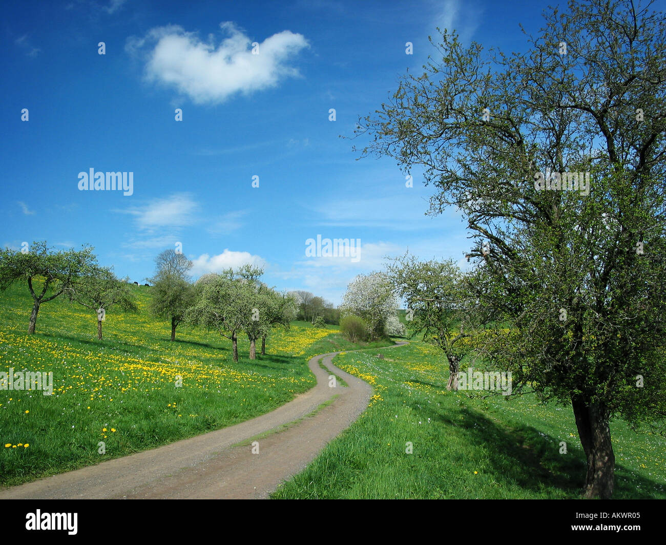 winding road in spring time Stock Photo