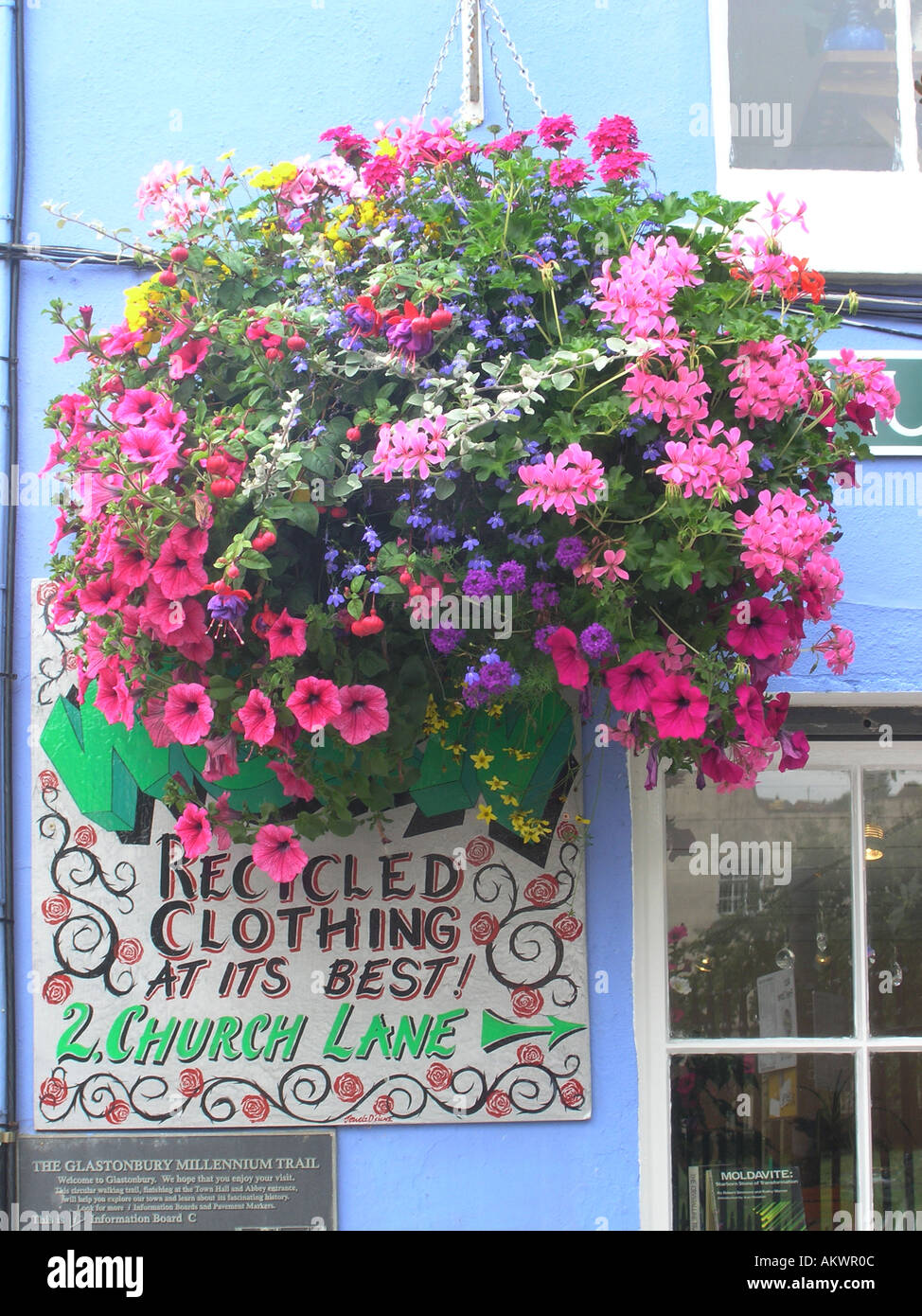 hanging basket with colorful flowers glastonbury town Stock Photo Alamy