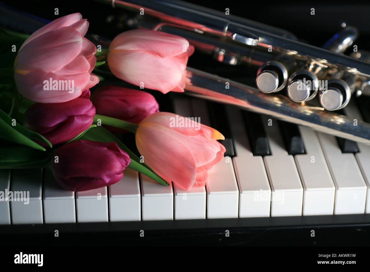 Silver trumpet on piano keyboard with bouquet of tulips Stock Photo Alamy