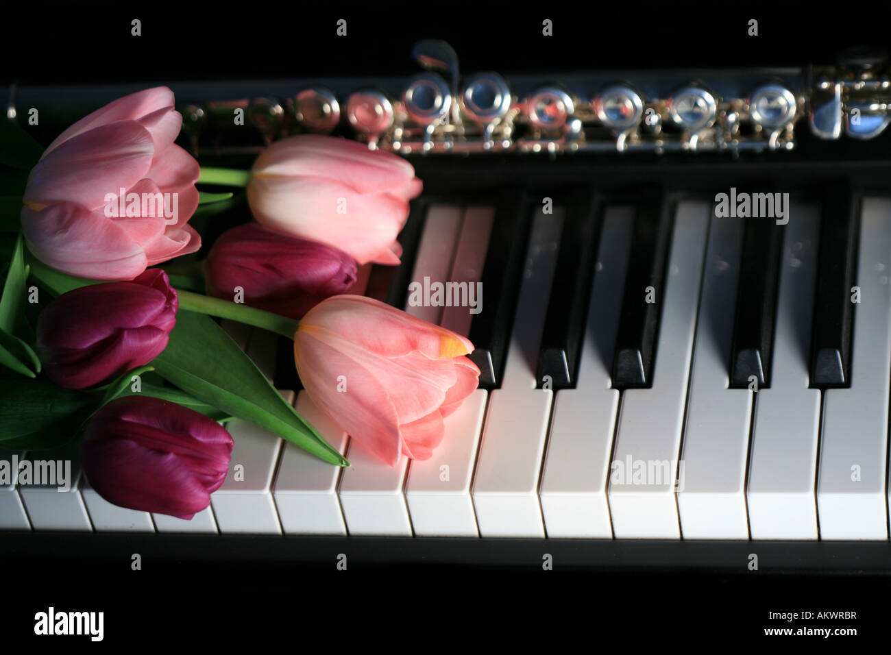 Bouquet of pink tulips on piano keyboard with flute Stock Photo Alamy