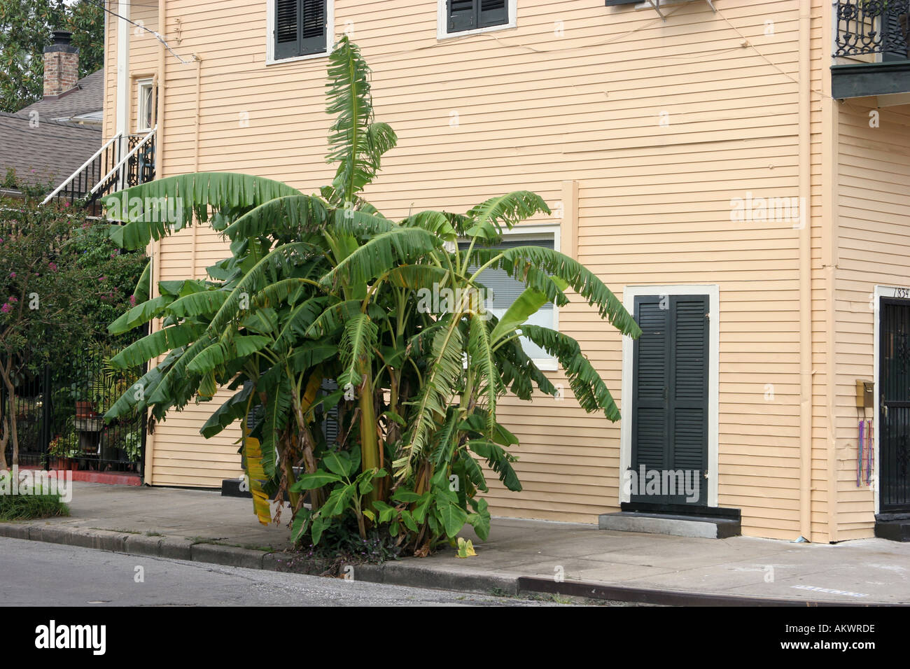Acadian house louisiana hires stock photography and images Alamy