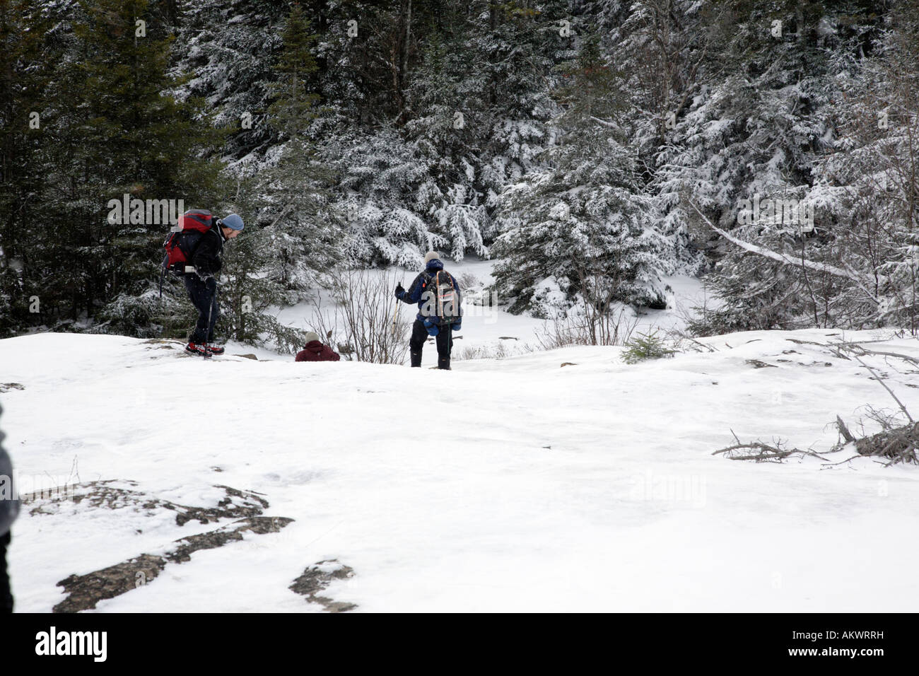 Hikers on Davis Path near Mount Crawford Located in the White Mountains