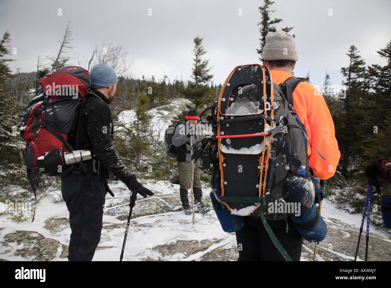 Hikers on Davis Path near Mount Crawford Located in the White Mountains
