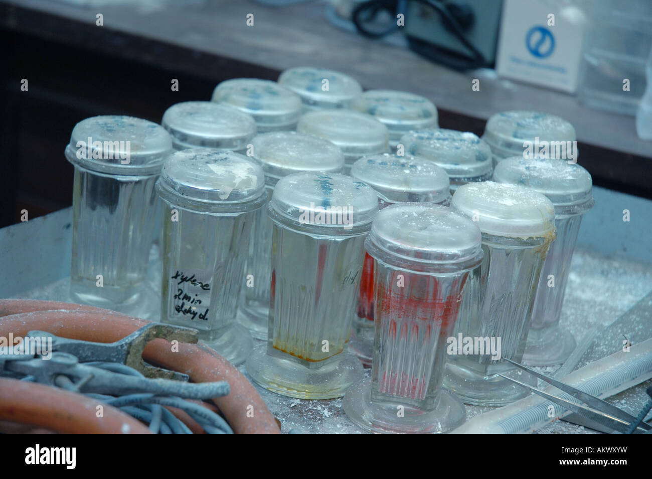 A shot of a group of chemical jars in a laboratory Stock Photo Alamy