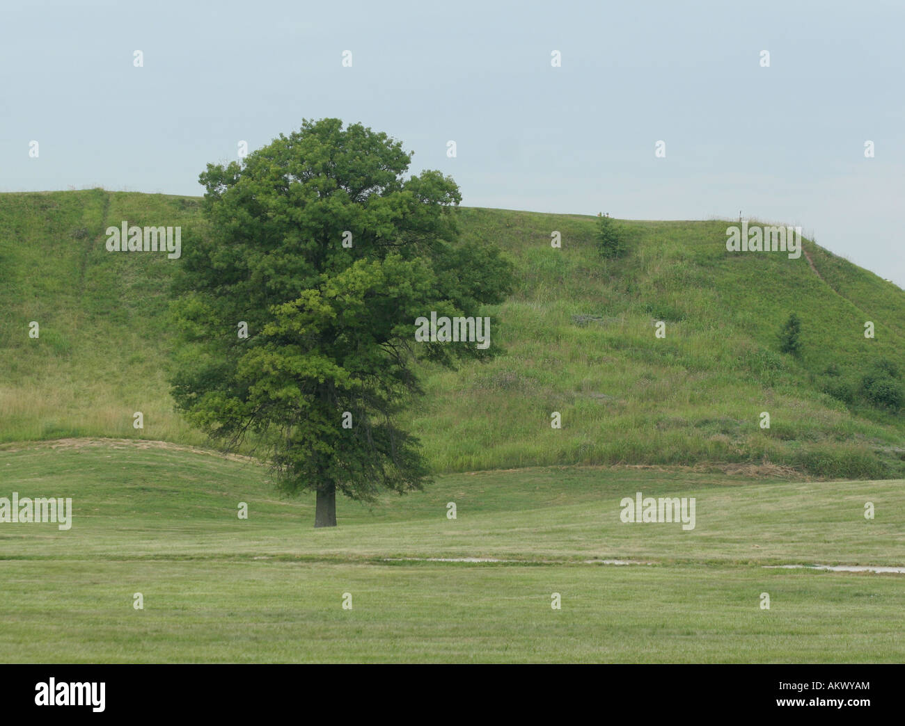 100 foot Monks Mound Cahokia Mounds State Historic Site Stock Photo