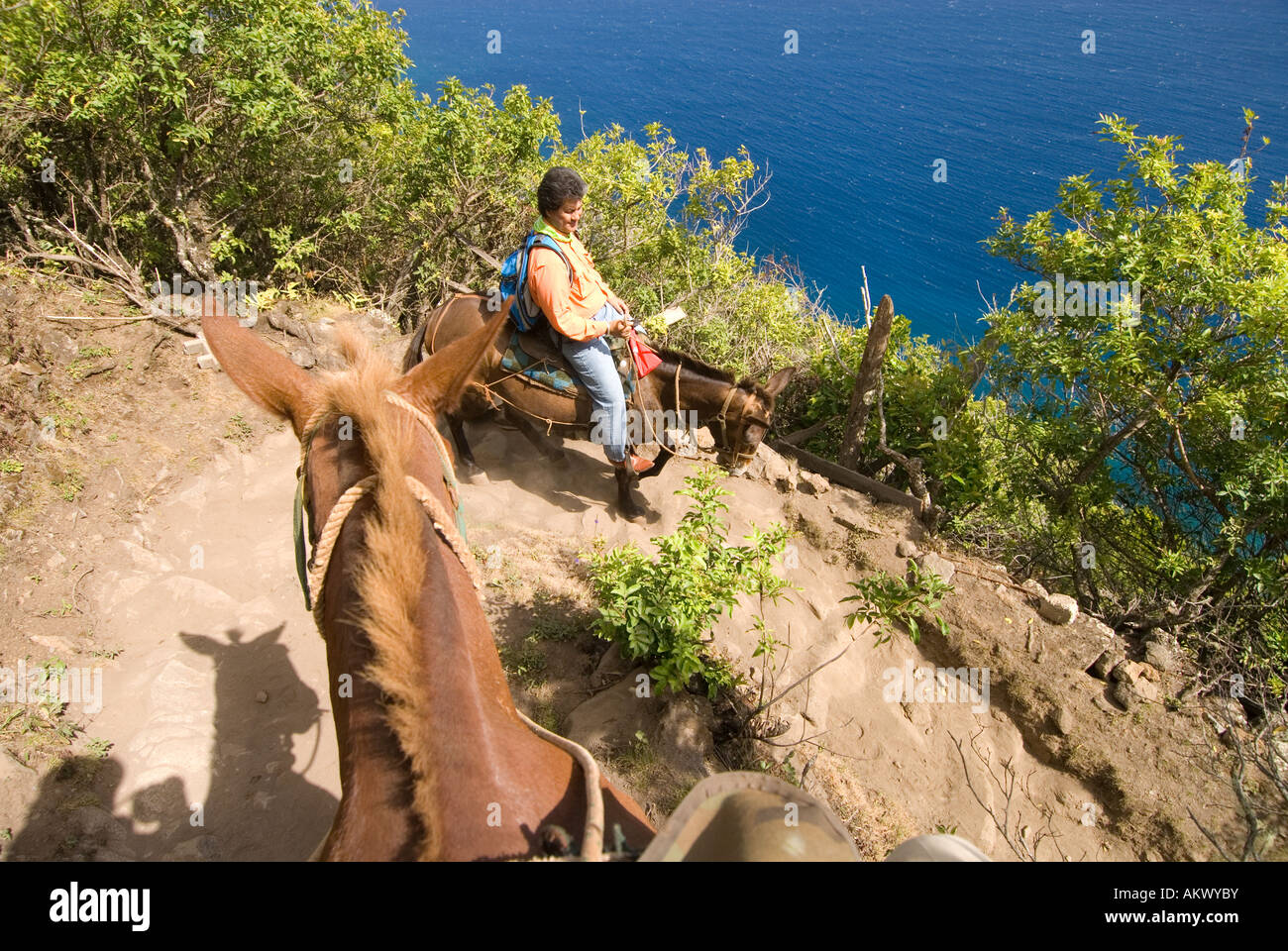 Hawaii Molokai the Mule Ride from the cliff tops down 1 600 feet to the leper colony at Kalaupapa Stock Photo