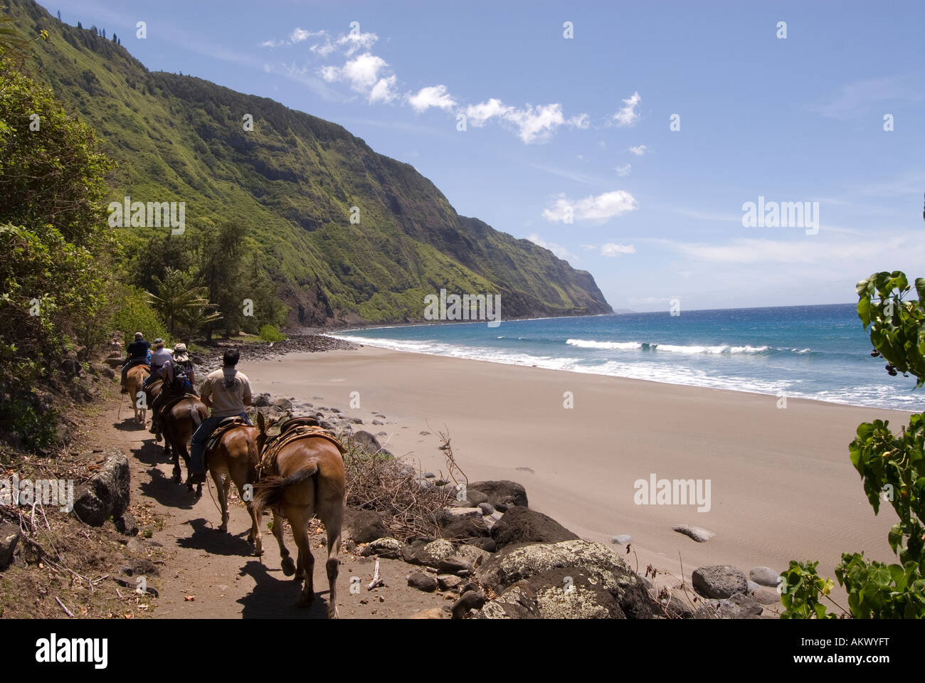 Hawaii Molokai the Mule Ride from the cliff tops down 1 600 feet to the leper colony at Kalaupapa Stock Photo