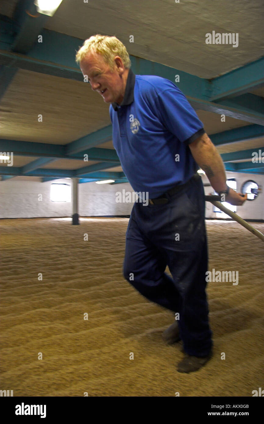 Whisky is handwork. The malting man raked the barley for better germinating. Bowmore Distillerie, Isle of Islay, Scotland Stock Photo