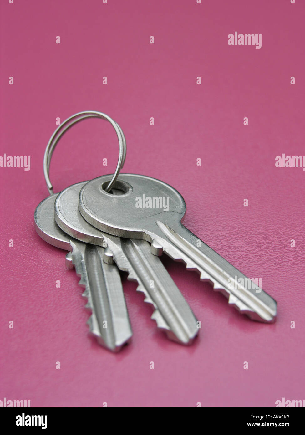 Key ring with three keys Stock Photo Alamy