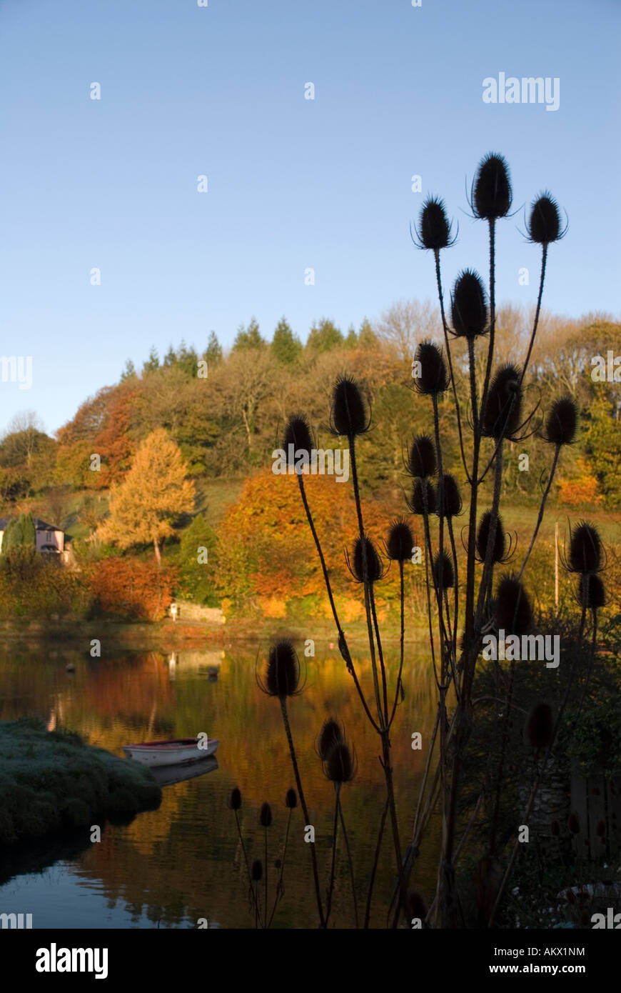 Autumn riverside scene Lerryn Cornwall Stock Photo
