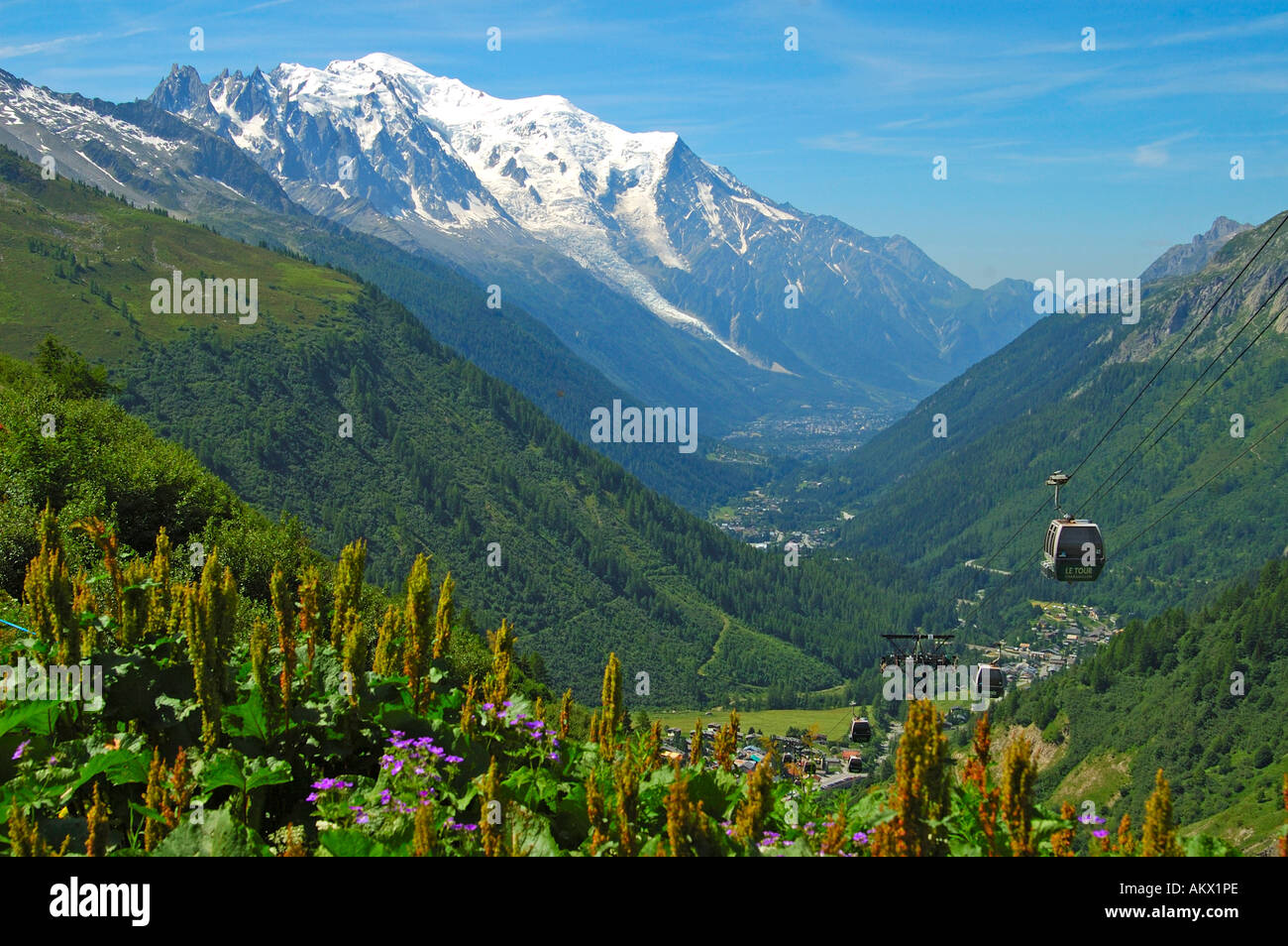 Valley of Chamonix, Mont Blanc, Le Tour, Chamonix, France Stock Photo Alamy