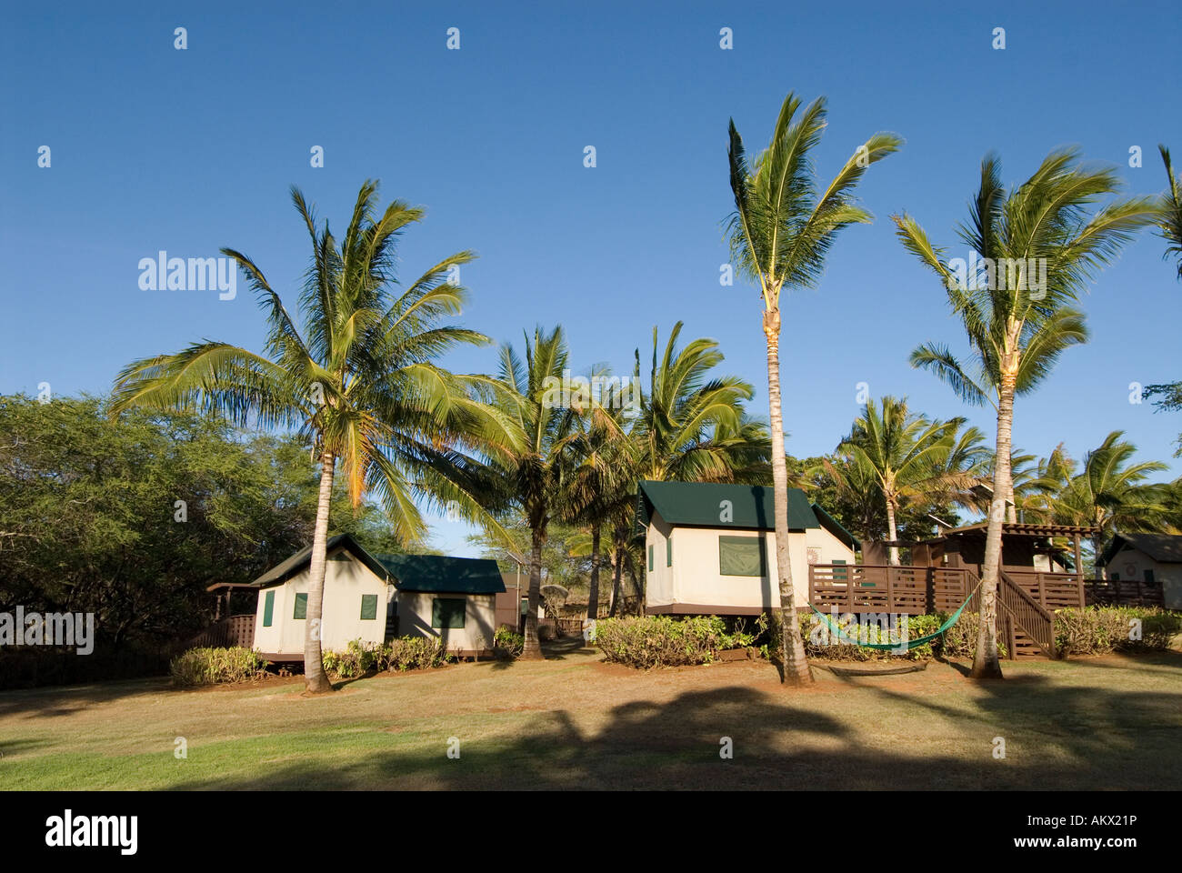 Hawaii Molokai island Pacific USA travel tourism green eco lodge