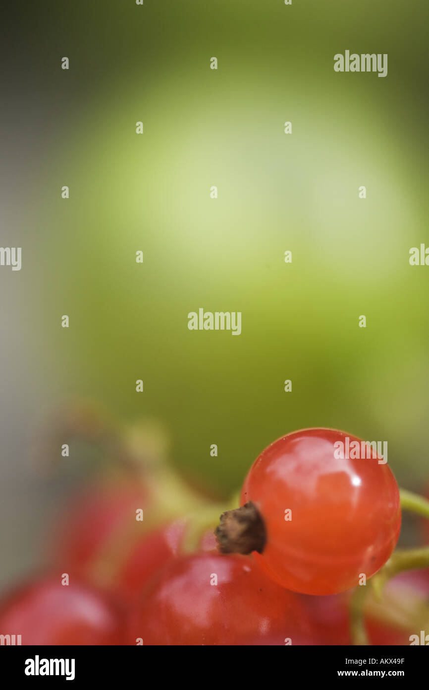 Blur image harvest red hi-res stock photography and images - Alamy