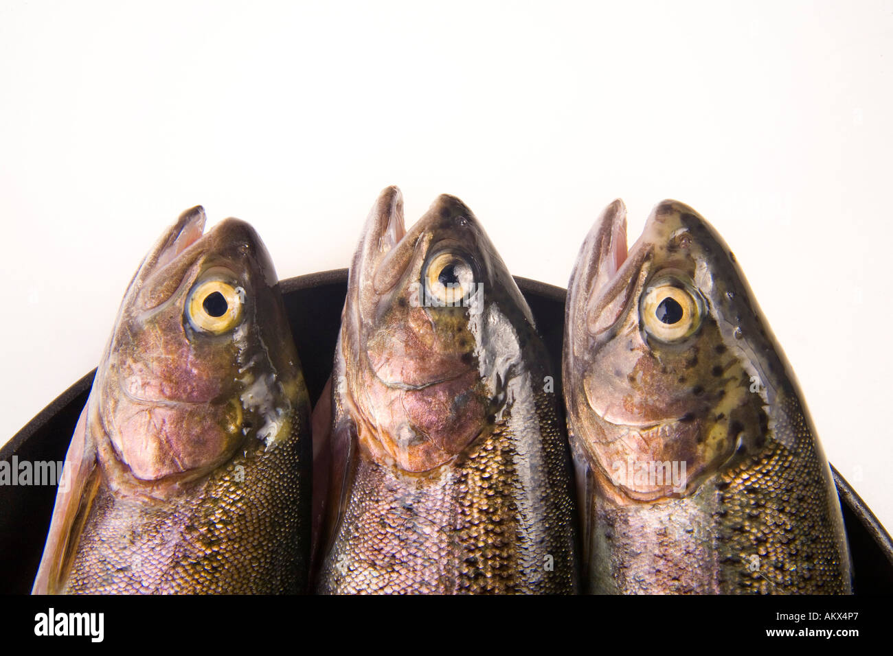Trout in a frying pan Stock Photo Alamy