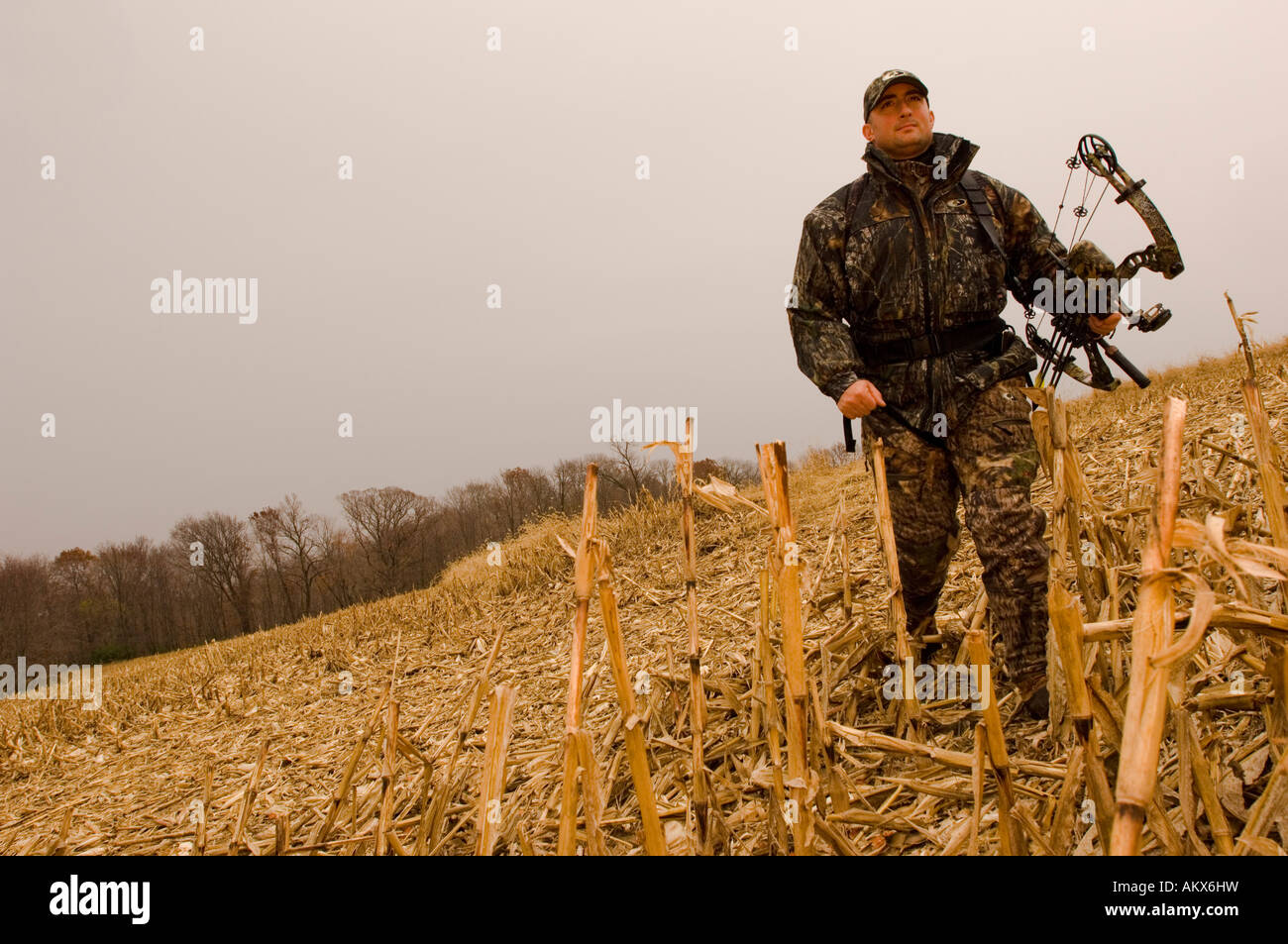 Bow hunting in Pike County Illinois Stock Photo Alamy