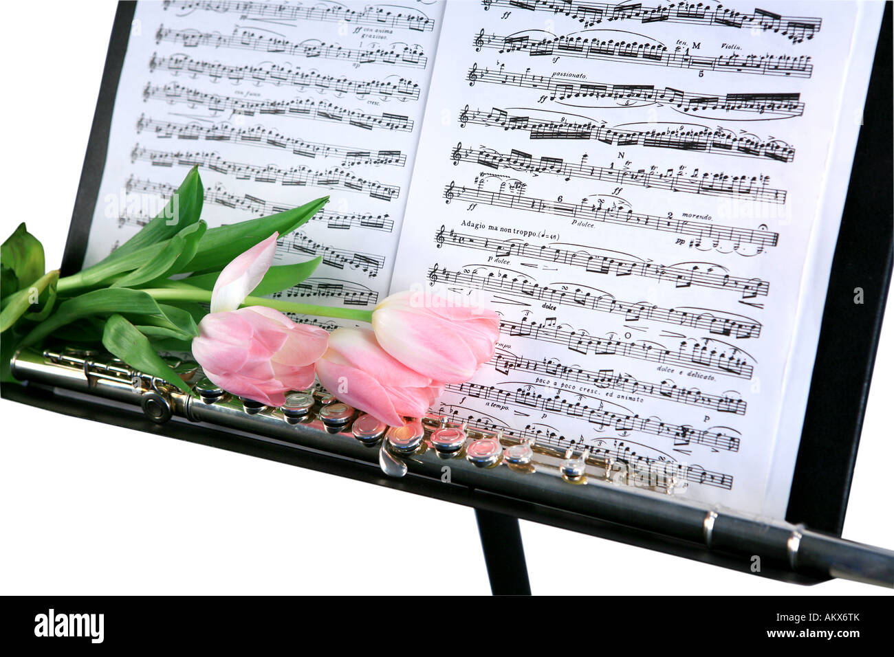 Silver flute in music stand with tulips Stock Photo