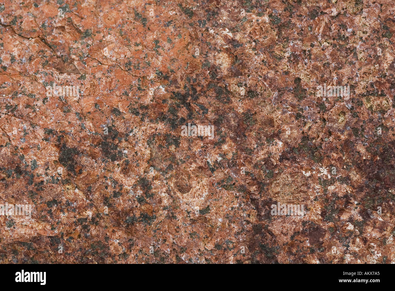 Putrefy hi-res stock photography and images - Alamy