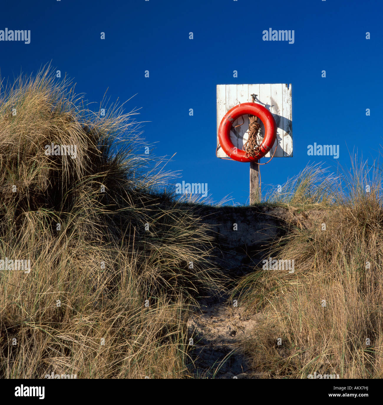 Lifebuoy in the dunes on Alnmouth beach, Northumberland Stock Photo