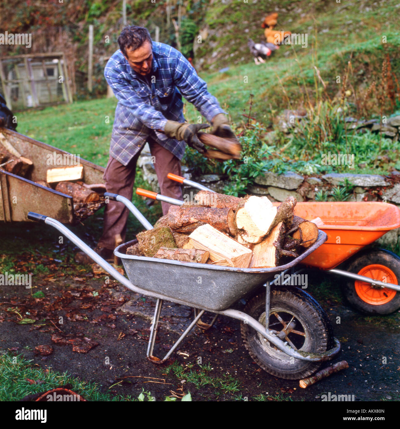 A man unloading firewood from a tractor into a wheelbarrow in his