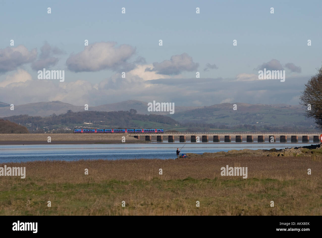 train on viaduct crossing morecambe bay Stock Photo Alamy