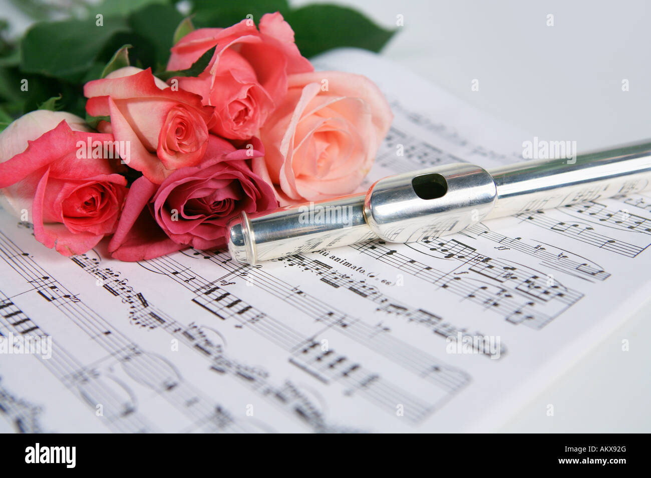 Silver flute on sheet music with pink rose isolated on white Stock Photo -  Alamy