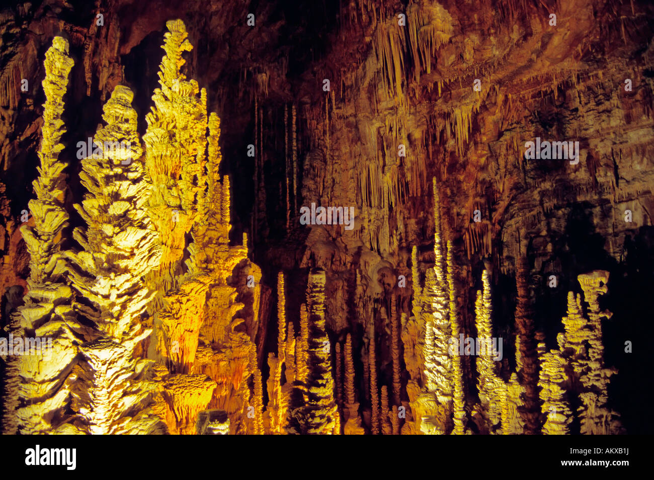 Colourful illuminated dripstone cave, Aven Armand, Lozere, France Stock Photo