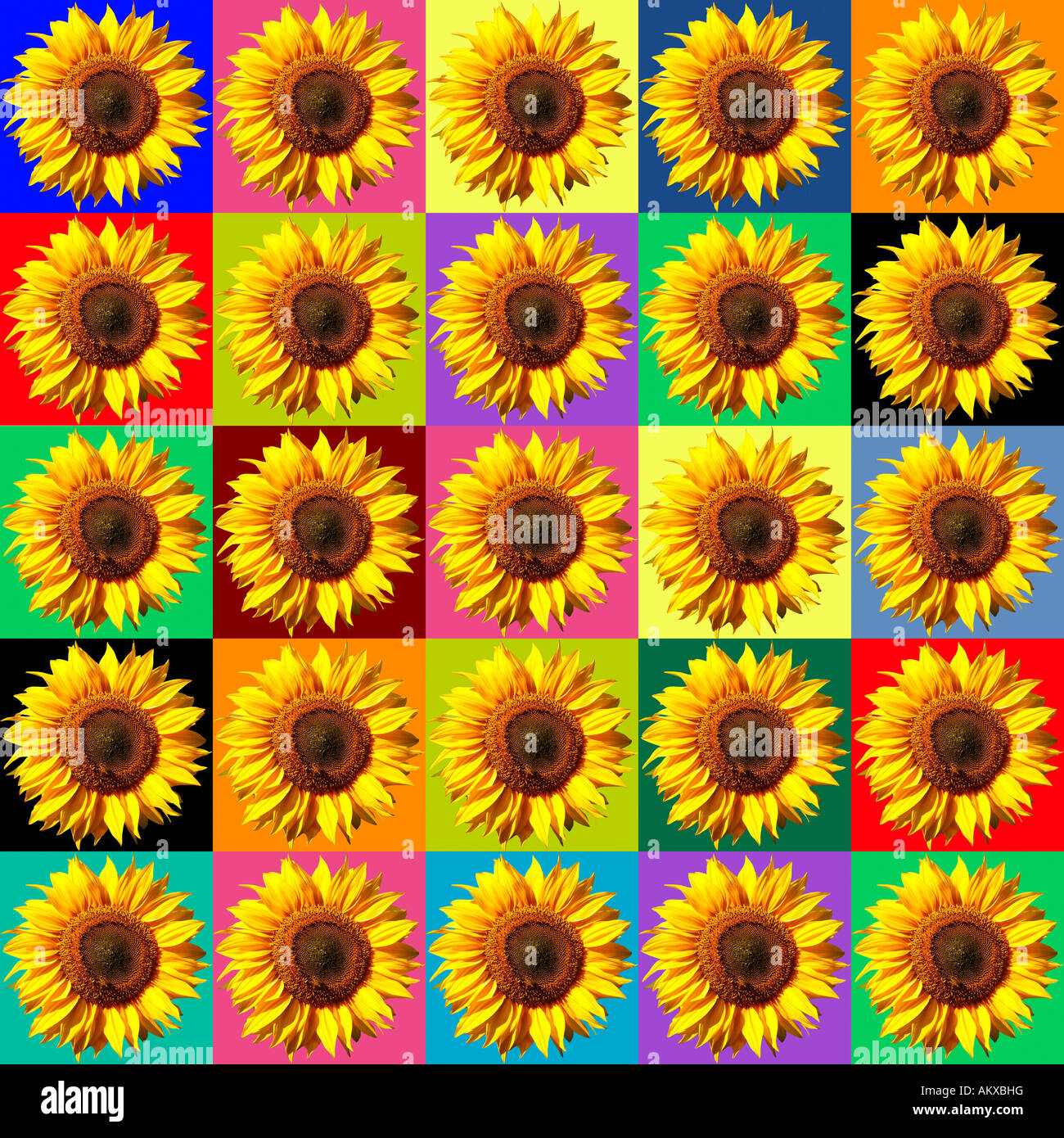 Sunflowers, colourful pattern, photo composition, collage, background, poster Stock Photo