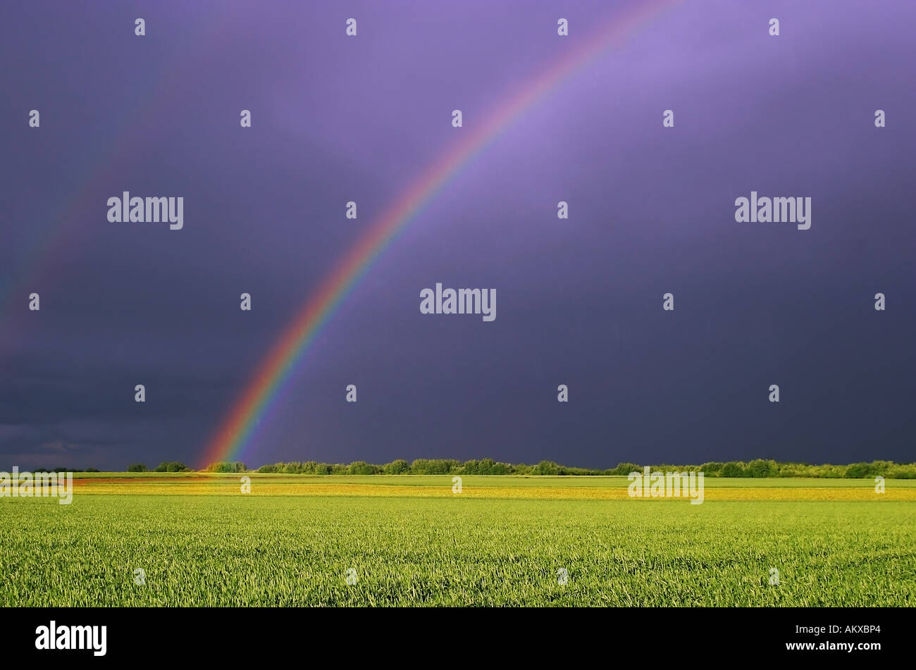 Rainbow in the dark hi-res stock photography and images - Alamy