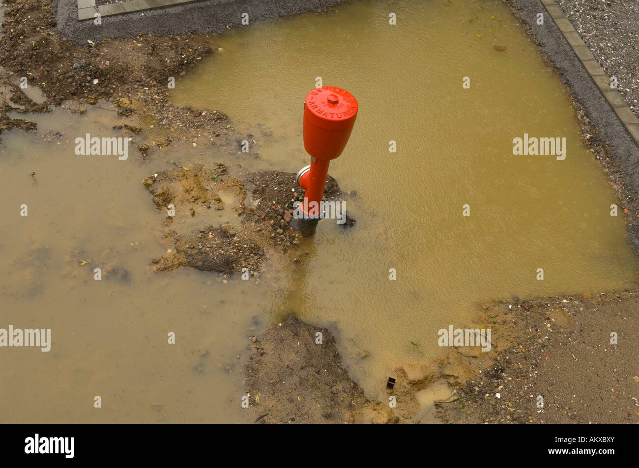 Fire hydrant in a puddle Stock Photo