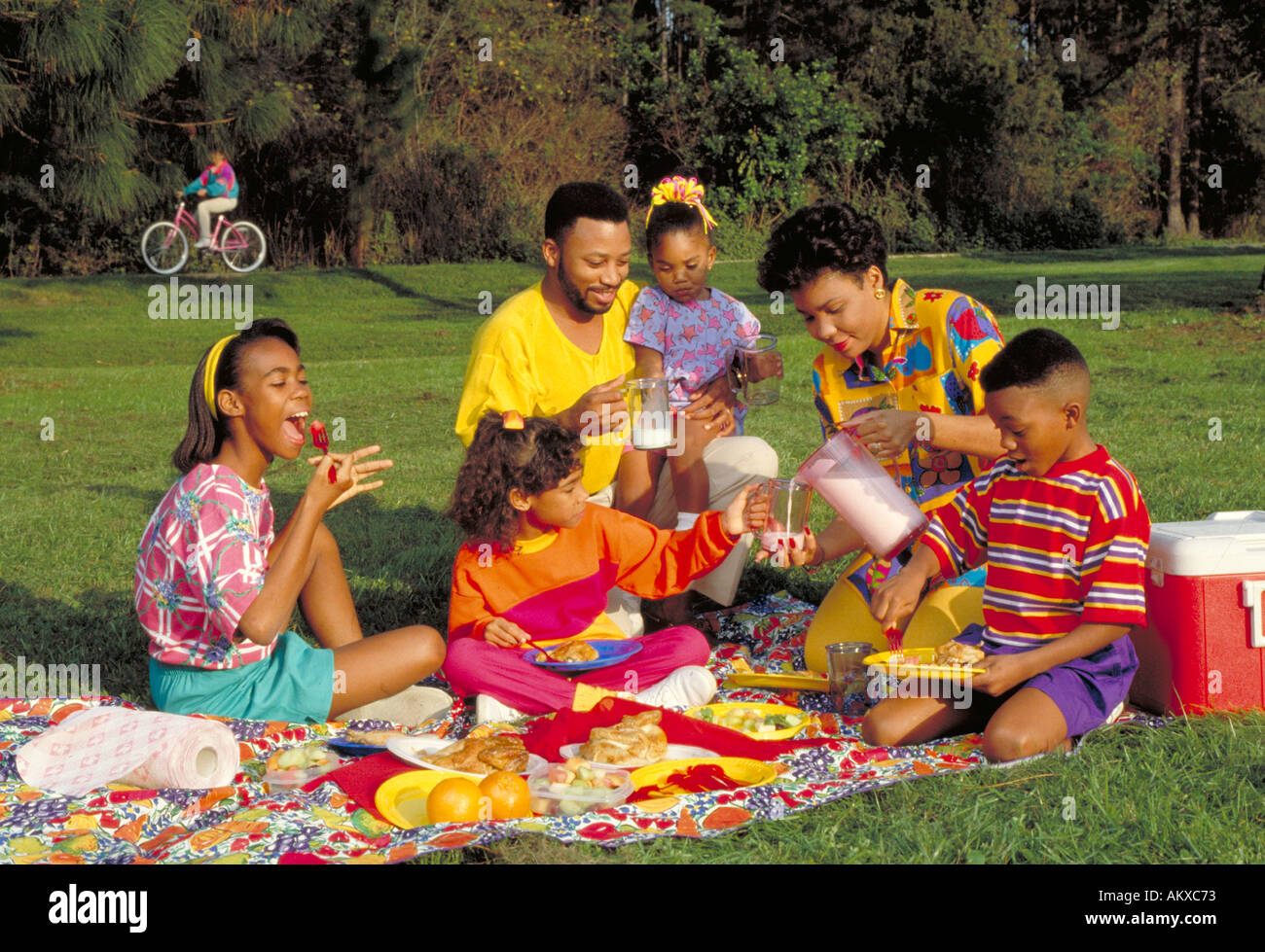 AFRICAN AMERICAN FAMILY HAVING A PICNIC IN THE PARK AFRICAN AMERICAN