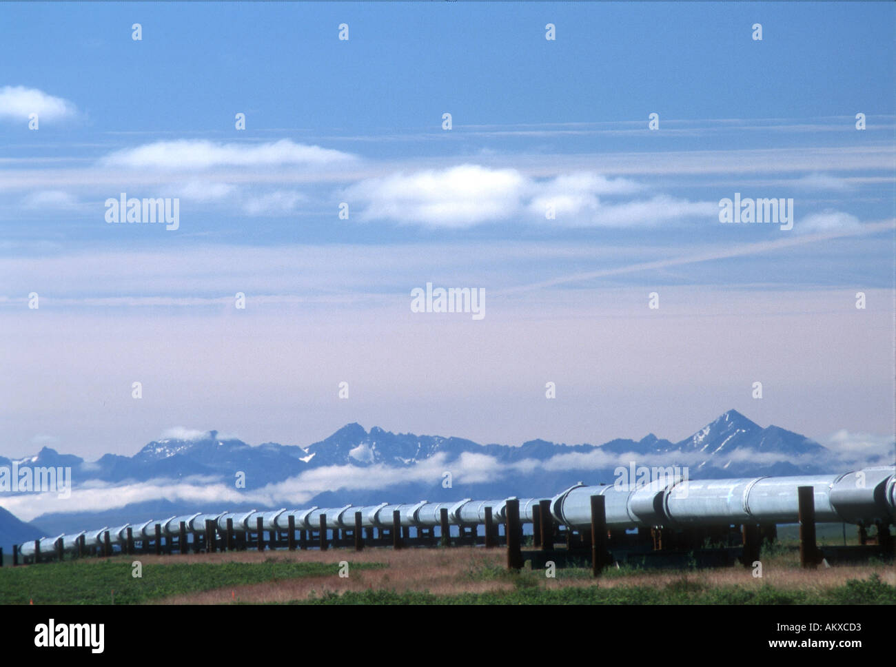 Trans Alaska pipeline snaking its way through a mountain landscape towards the Brooks Range Alaska Stock Photo