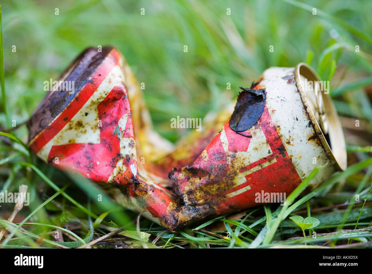 Beverage can on a meadow Stock Photo