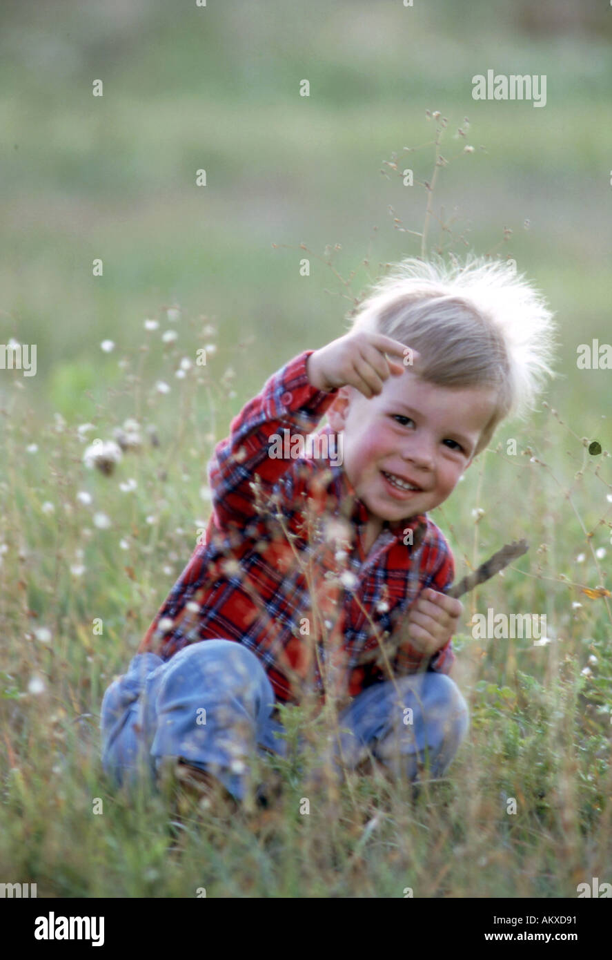 Discovering nature in a field of weeds Stock Photo