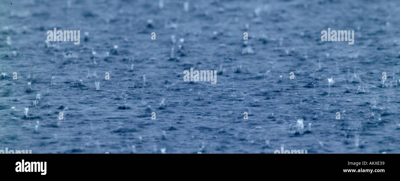 Heavy rain Stock Photo