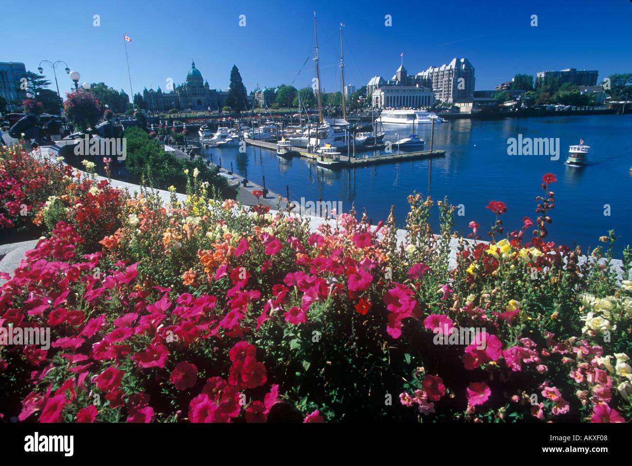 Victoria island canada hi-res stock photography and images - Alamy