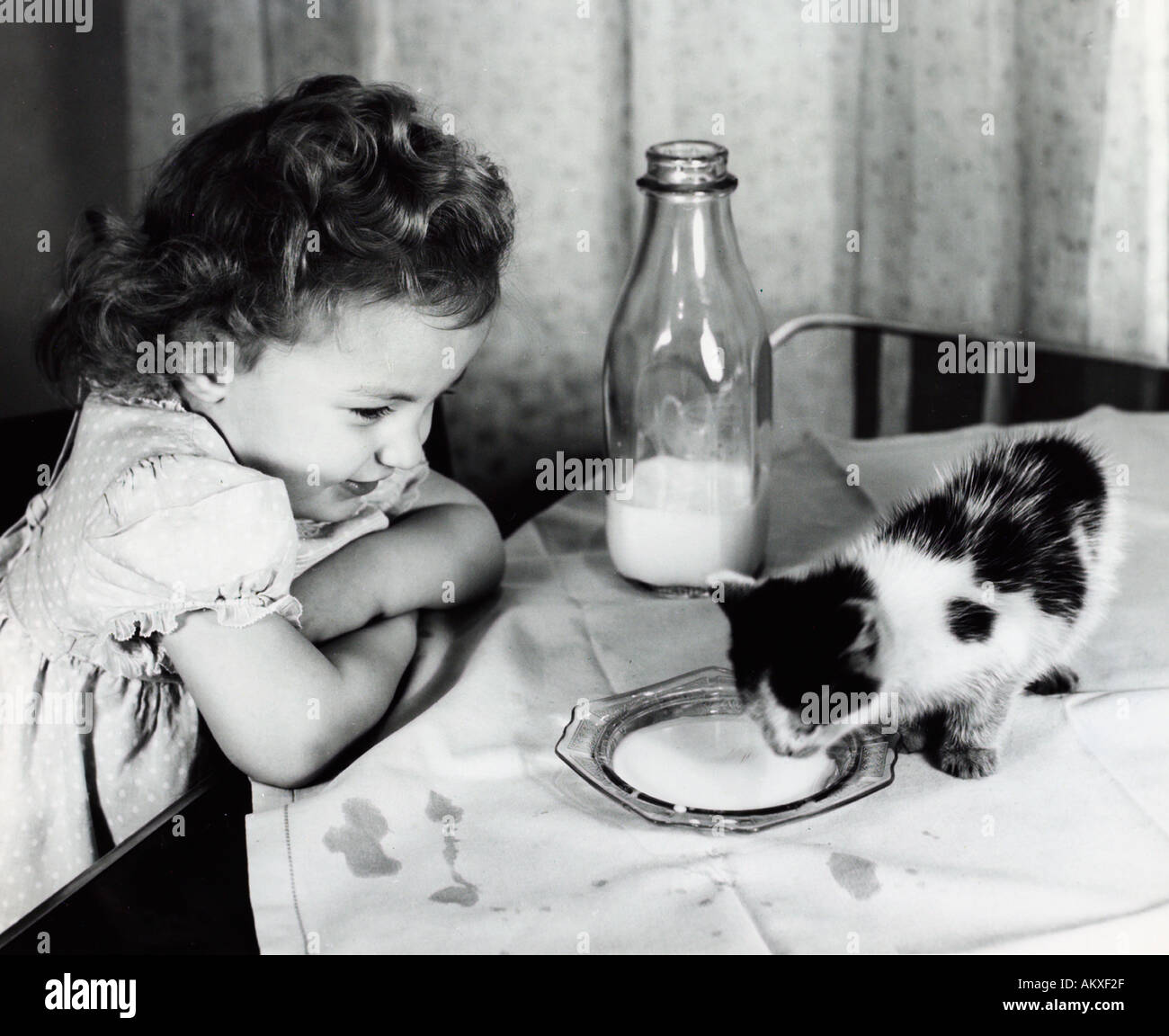 Adorable preschool girl feeding milk to pet kitty on table 1940 s 50 s Stock Photo