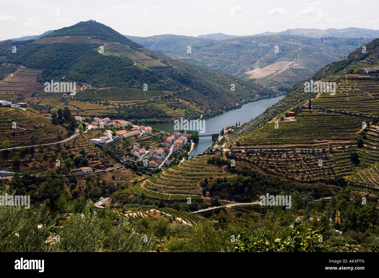 View to the Douro Valley and the vineyards in Northern Portugal, near Pinhao Stock Photo