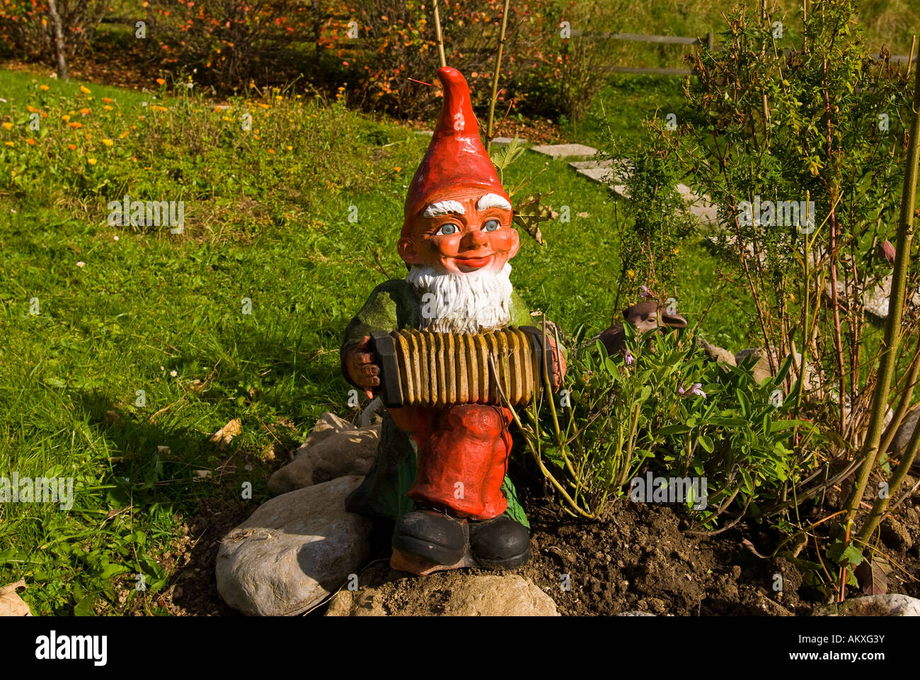 Garden gnome, Tyrol, Austria Stock Photo - Alamy
