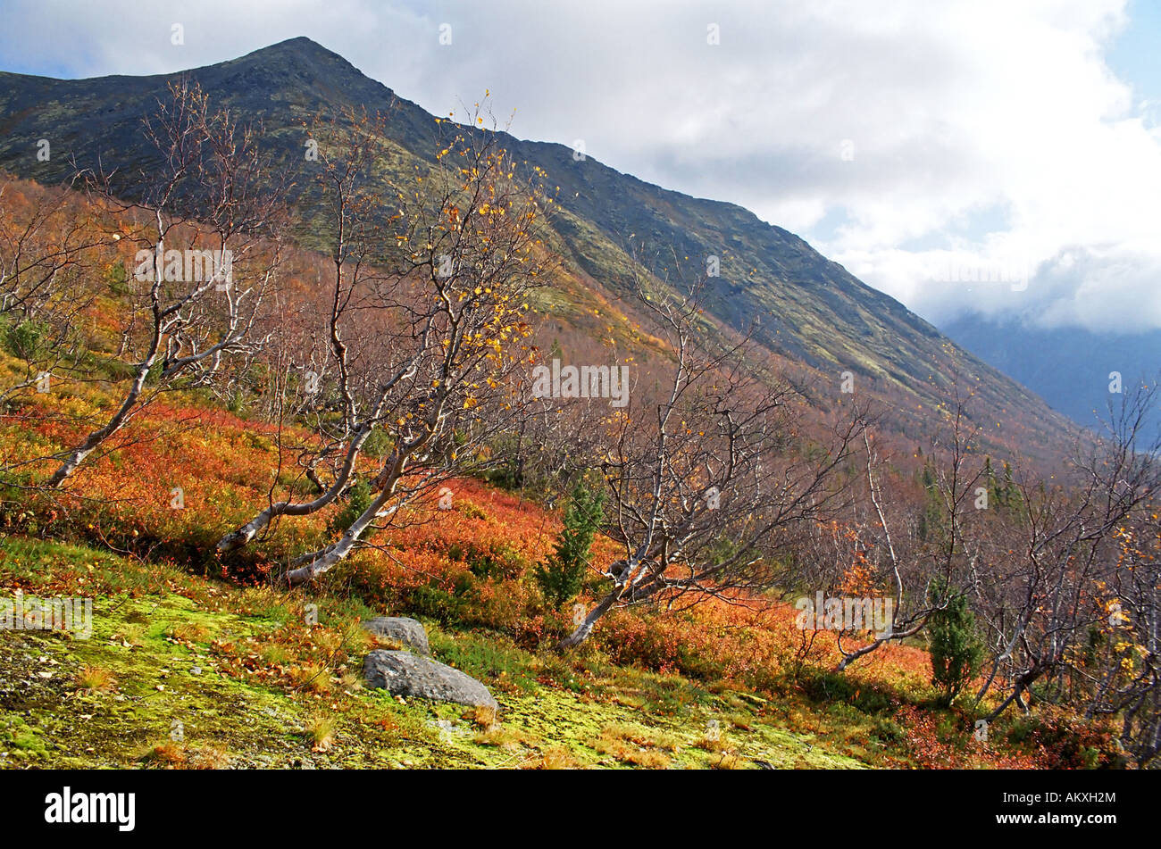 On which peninsula are the Khibiny mountains On which peninsula are the Khibiny mountains