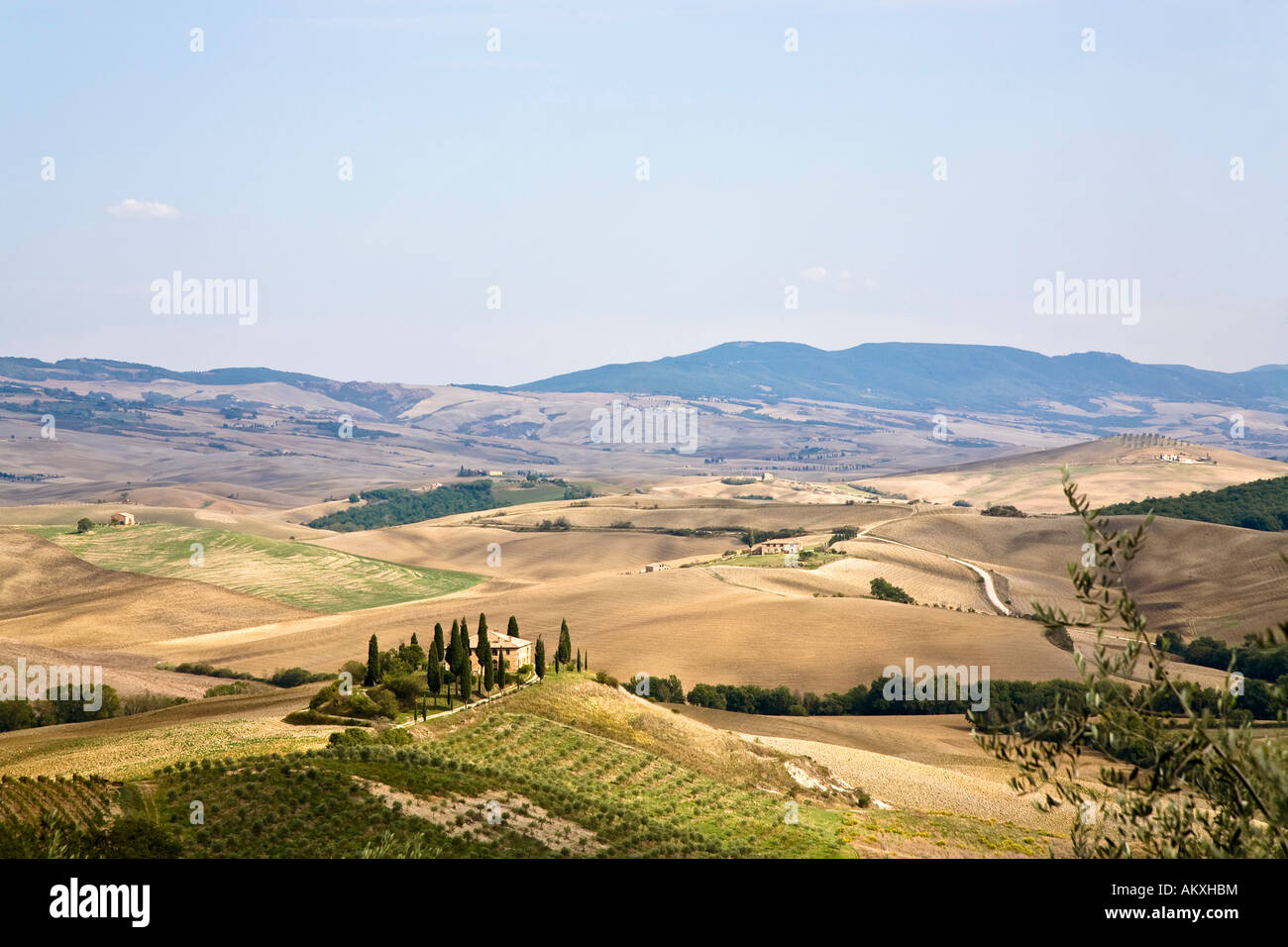 Look at the valley Val d'Orcia Crete Tuscany Italy Stock Photo