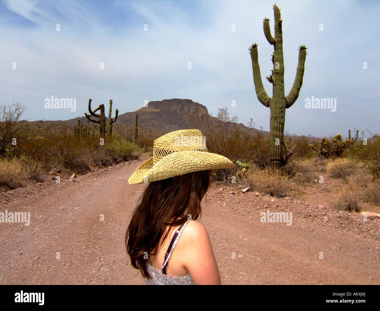 Girl with a cow hi-res stock photography and images - Alamy