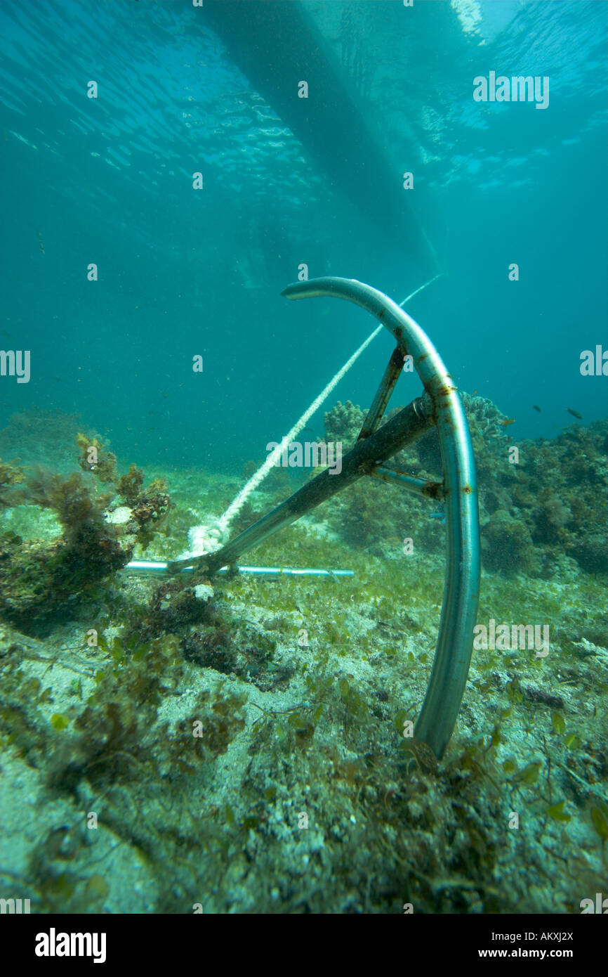 Anchor in a coral reef, Asia, Philippines Stock Photo