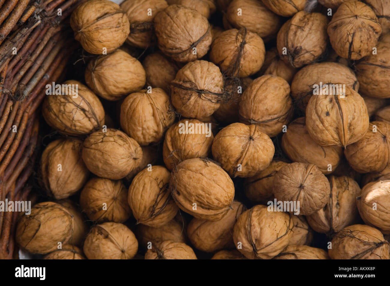 Freshly harvested walnuts in the Southern Palatinate, Palatinate, Rhineland-Palatinate, Germany Stock Photo