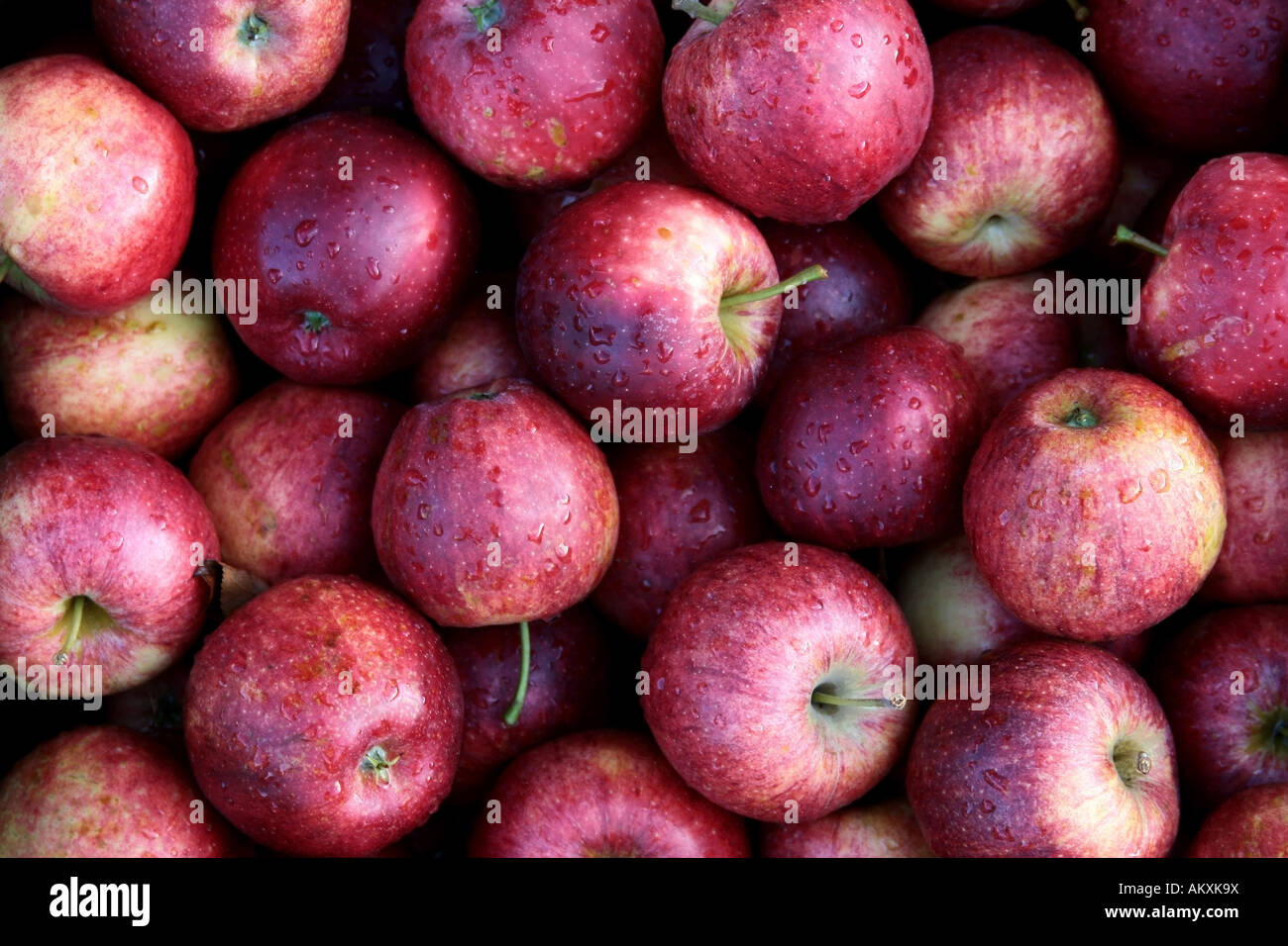 Freshly picked apples on a street sale, Southern Palatinate, Palatinate, Rhineland-Palatinate, Germany Stock Photo